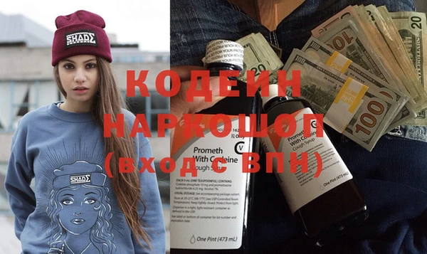 индика Баксан
