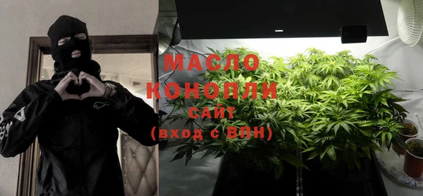 индика Баксан