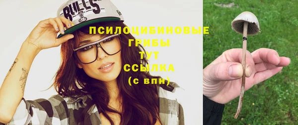 синтетический гашиш Балахна